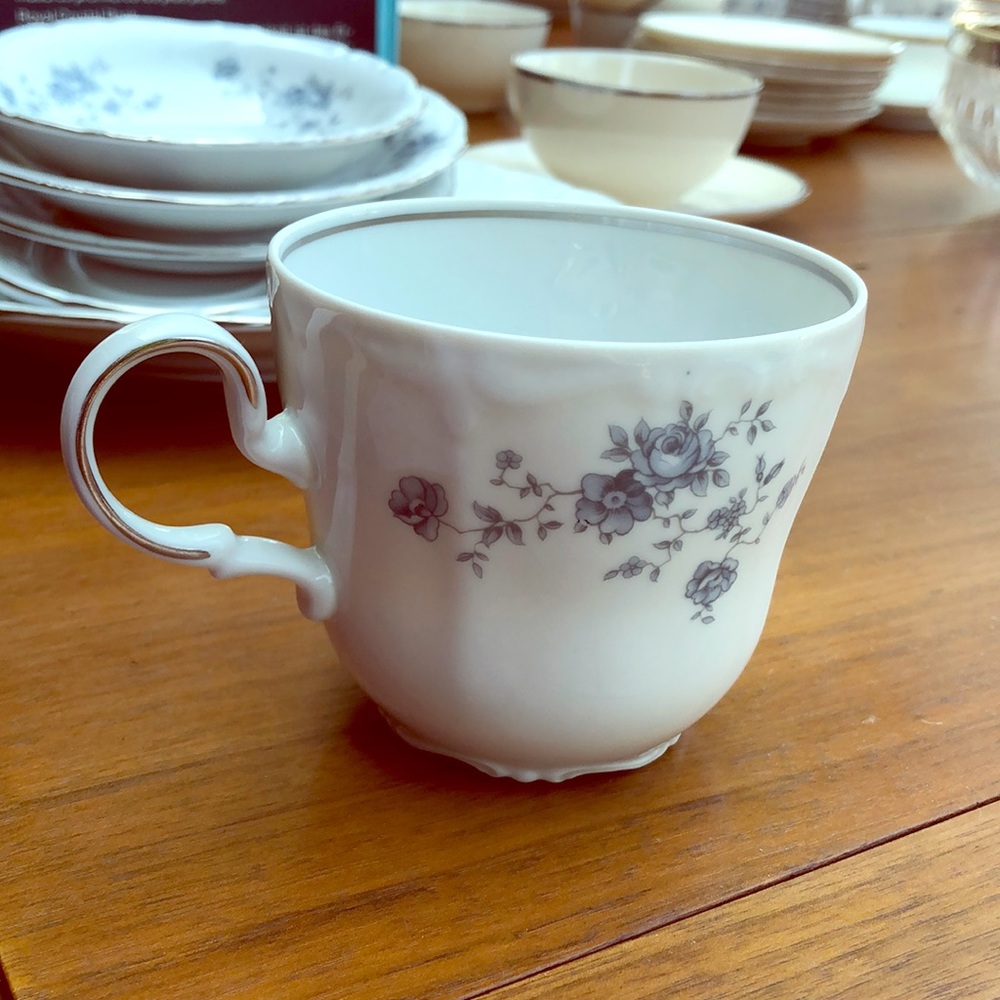 Johann Haviland Bavaria Germany Fine China